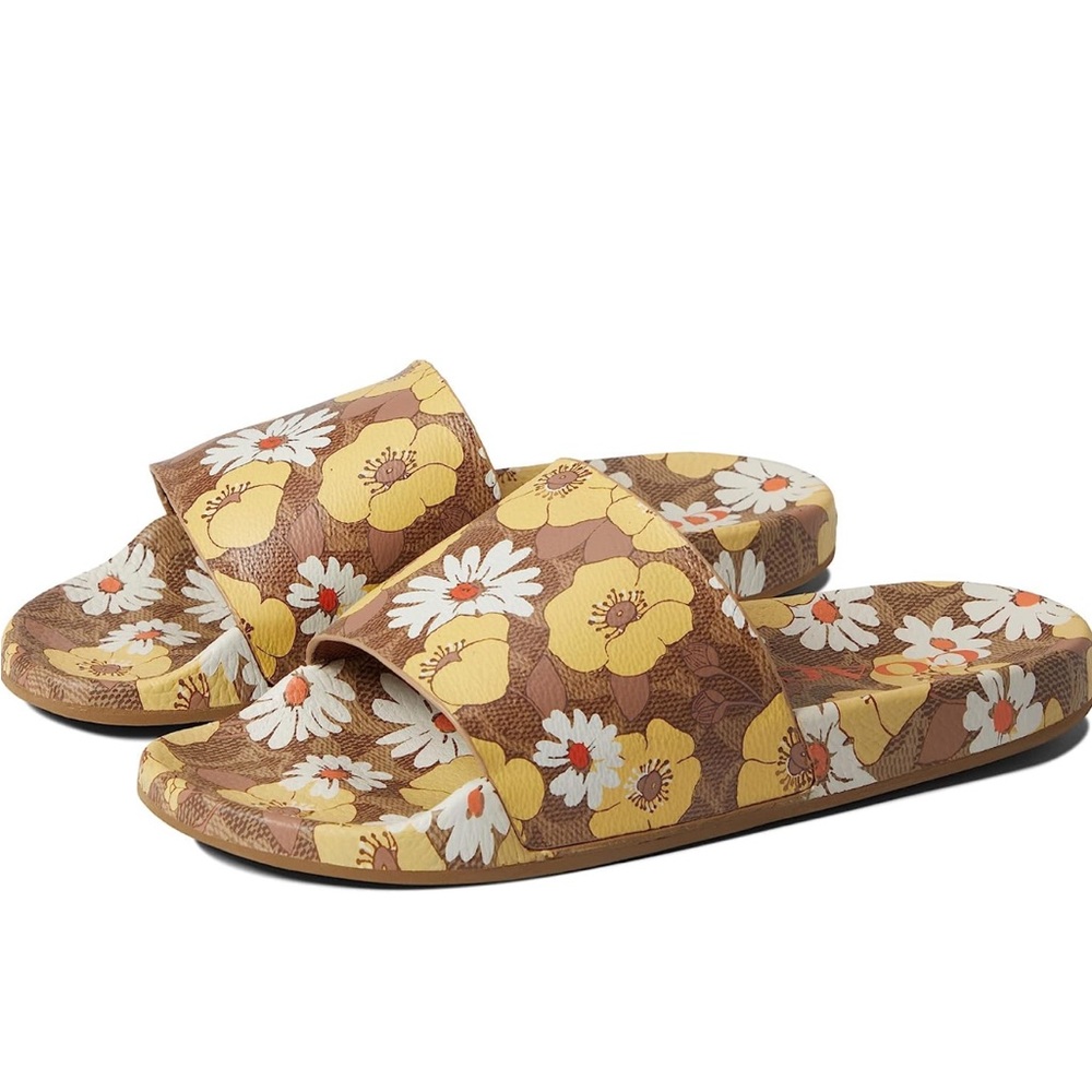 Coach slides